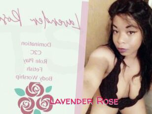 Lavender_Rose