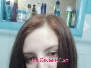LilGingerCat