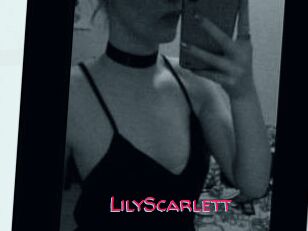 Lily_Scarlett