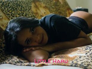 Little_Haru