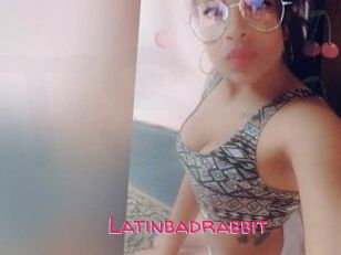 Latinbadrabbit