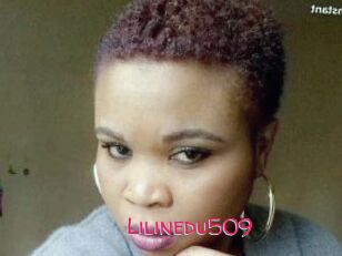 Lilinedu509