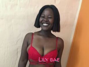 Lily_bae