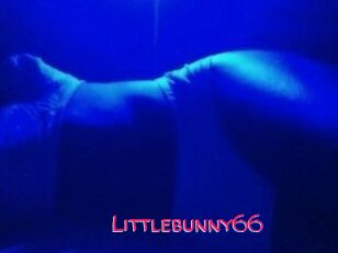 Littlebunny66