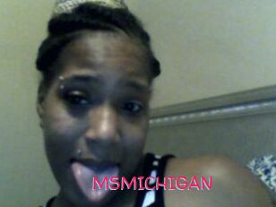 MSMICHIGAN