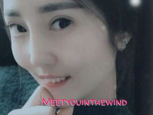 Meetyouinthewind
