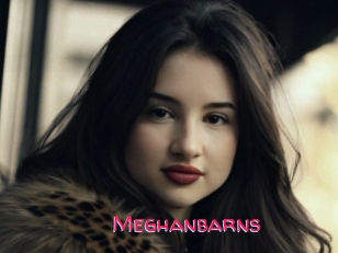 Meghanbarns