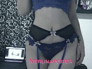 Merlinafoster