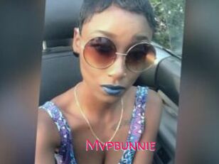 Mvpbunnie