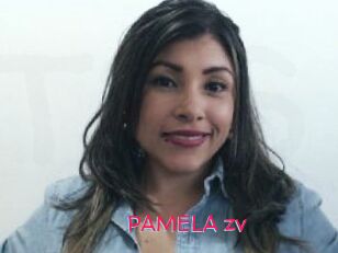 PAMELA_zv