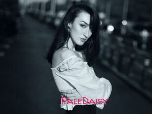 PaleDaisy