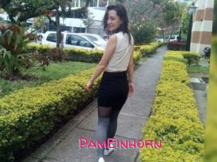 PamEinhorn