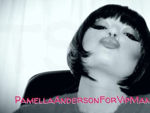 PamellaAndersonForVipMan