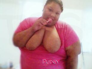 Pudgy