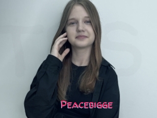 Peacebigge