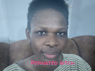 Pervated_bitch