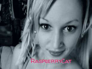 RaspberryCat