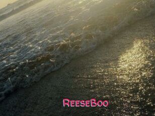 ReeseBoo