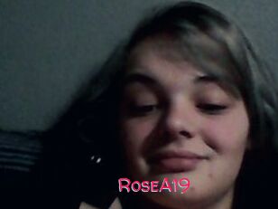 RoseA19