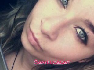 Sambucacat