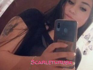 Scarlethrush