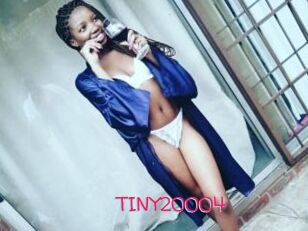 TINY20004