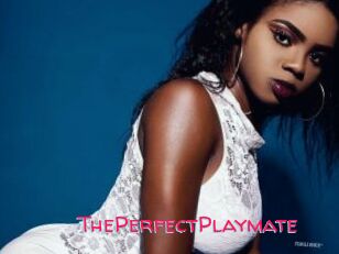ThePerfectPlaymate