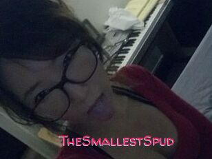 TheSmallestSpud