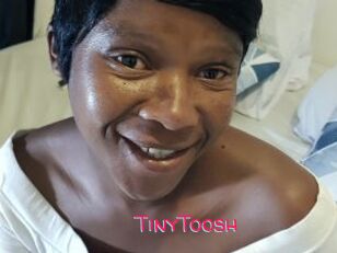 TinyToosh