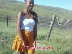 Turtledovey
