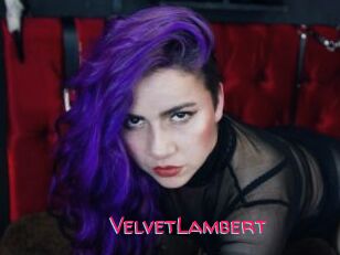 VelvetLambert