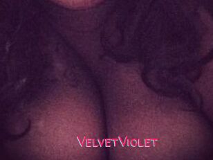 VelvetViolet
