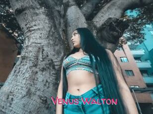 Venus_Walton