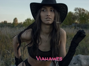 Viahawes