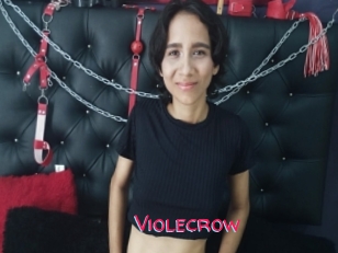 Violecrow