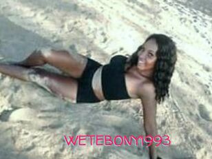 WETEBONY1993