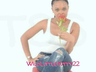 WildLittleKitty22