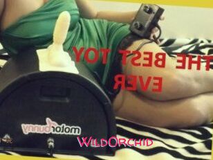 WildOrchid_