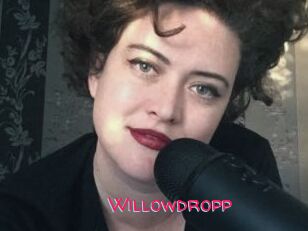 Willowdropp