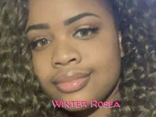 Winter_Rosea