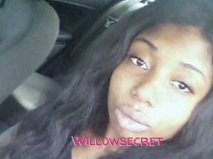 Willow_secret