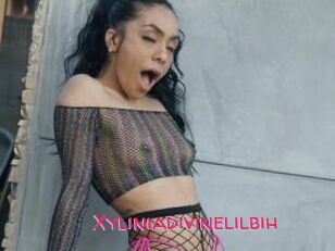 Xyliniadivinelilbih