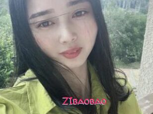 ZIbaobao